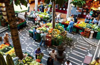 Pana House - Photo 67