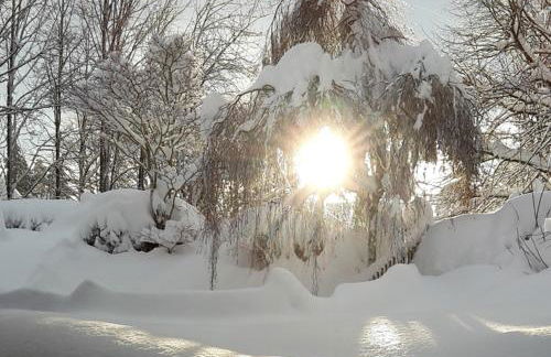 Ferienwohnung am Kneipp-Park - Foto 17