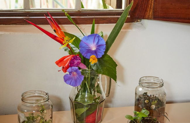 Chale Ipe Jatoba - Foto 10