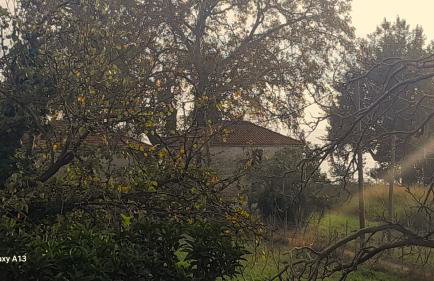 Pelion Malaki- Casa Verde - Foto 76