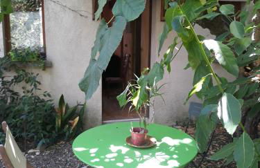 le vieux mas du domaine de Pontet-Fronzele - Foto 7