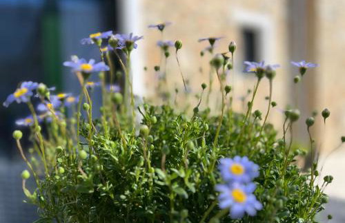 Corcyrana Apartment - Foto 19