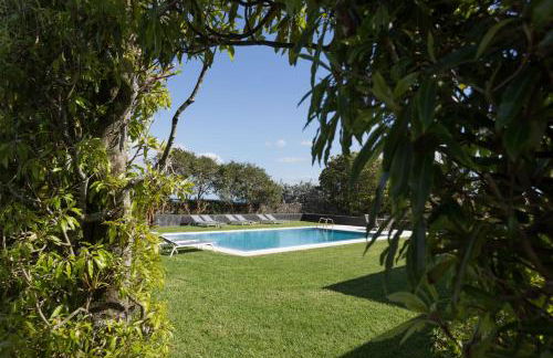 Quinta de Santa Clara - Photo 23