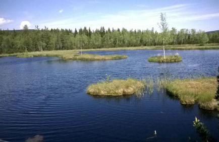 Haus Annemarie - Foto 20