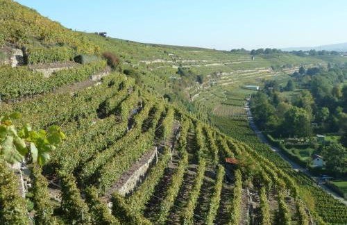 Villa in Seenahe Badesee Ehmetsklinge - Foto 31