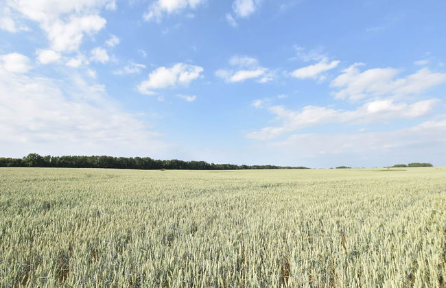 Holiday Home in Sternberg by Lake - Foto 20