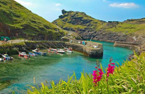 Fentrigan Manor Farm & Holiday Cottages - Foto 27