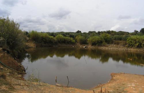 Eve's house - Foto 15