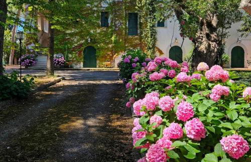 Aurora Holiday House - Foto 13