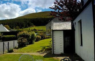 Gypsy Palace - Foto 24