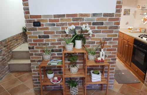 La Tana degli Orsetti - Foto 11