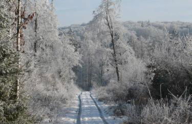 Die Wohlfühloase - Foto 13