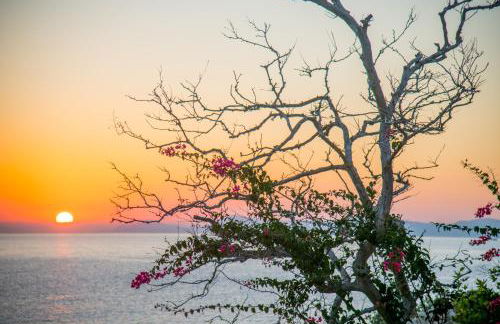 Platani Seaside Villa - Foto 6