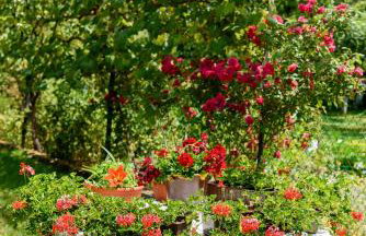 Apartment Mia - Foto 51