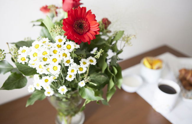 Alessia's Flat - Tortona - Photo 53