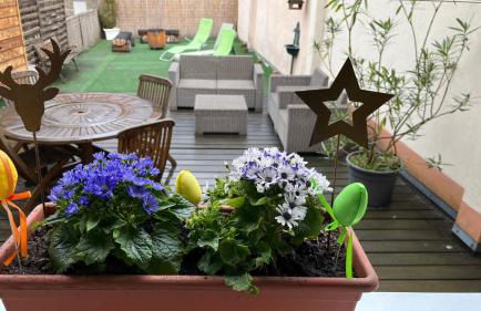 Gite Edelweiss à Eguisheim - Foto 1