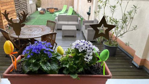 Gite Edelweiss à Eguisheim - Foto 1