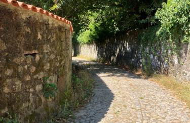 Casa do Cruzeiro do Outeiro -comfort and tradition - Foto 19