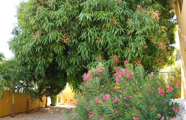 Mirador Apartments - Foto 45