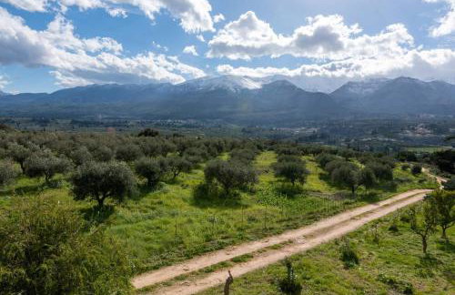 Stone villa Halepa panoramic view, private pool,big garden & quiet - Foto 54