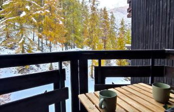 Le Petit Aupillon - L'Aupillon des Forêts - 2 studios cocooning aux Orres - Photo 23