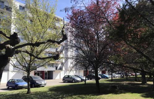 Studio Soleil et Verdure - Montpellier Celleneuve - Foto 18