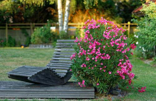 autour de la ferme - Foto 6