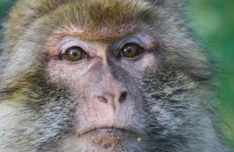 Ferienwohnung K1957 - Dutum - Foto 17