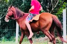 Casa de Serra Guaramiranga - Foto 38