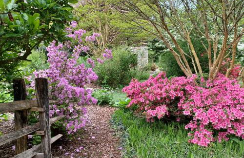 Restored1850s log cabin, with gazebo and gardens! 1 mile to downtown Weaverville - Foto 57