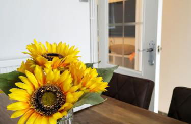 Bee At Home - Photo 11