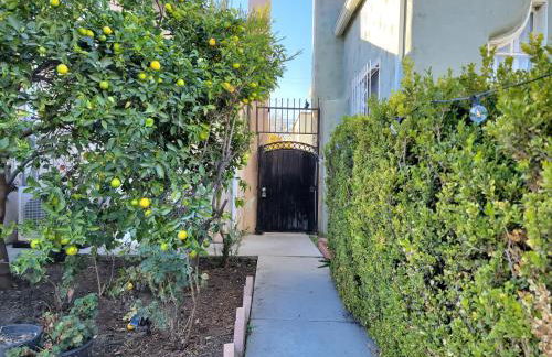 2BR Guest Suite With Parking and Garden in Pico Robertson Near Beverly Hills and Cedar Sinai - Foto 24