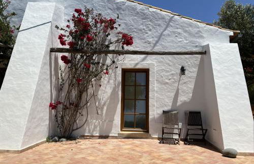 Monte D´Sancho - Foto 4