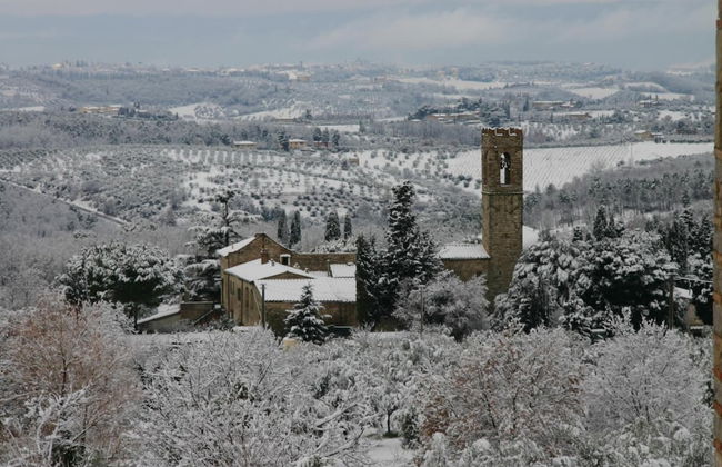 Agriturismo Podere La Cava - Photo 33