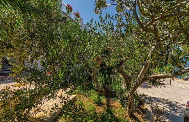 Apartments Jadranka - Foto 14