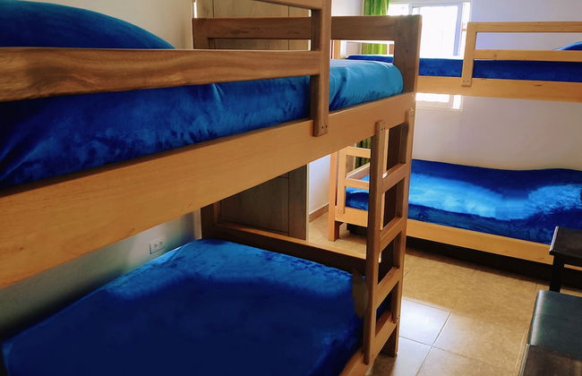 SAN PEDRO SALENTO APARTAHOTEL - Photo 4