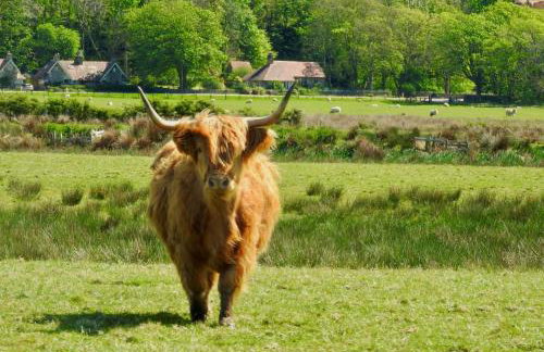 Blaeberry Cottage - Foto 9