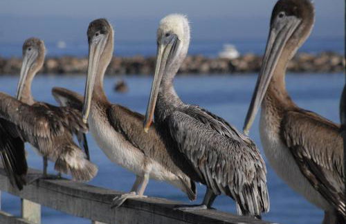 3984 Life of Riley home - Foto 55