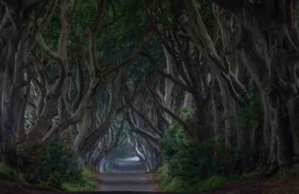 Spacious Apt in Belfast city 5mins to Titanic & SSE Arena - Foto 21