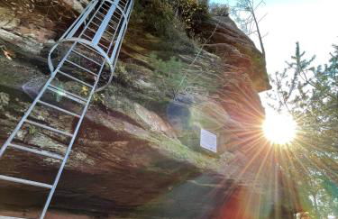 Schöne Ferienwohnung mitten im Pfälzerwaldgebiet - Foto 45