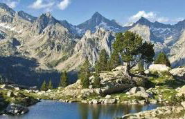 Apartaments Sort Pirineus - Foto 35