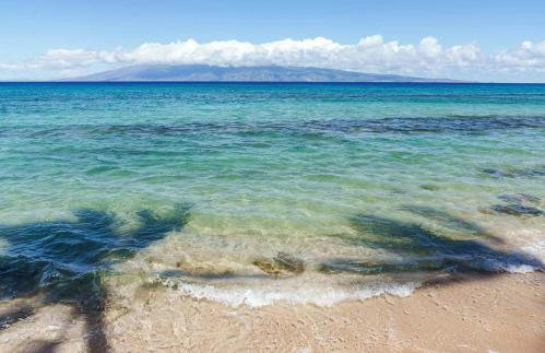 Oceanfront Remodeled-30 Feet to Ocean-Central AC-Highly Sought After - Foto 36