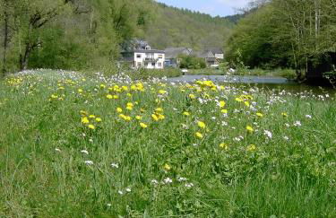 Pulgersmühle - Foto 1