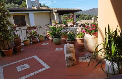 Appartamenti La Collina - Foto 59