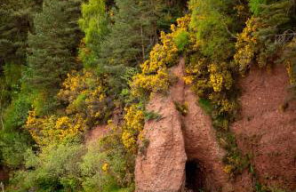 Wynstone Cottage, Speyside - Foto 15