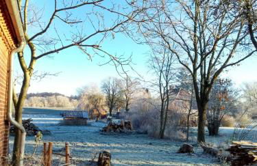 Krötenhof Barförde - Foto 41