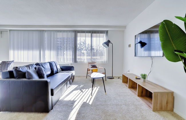 Crystal City Comfortable Apartments - Photo 73