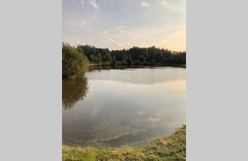 Caloroczny domek letniskowy ze stawem - Foto 26