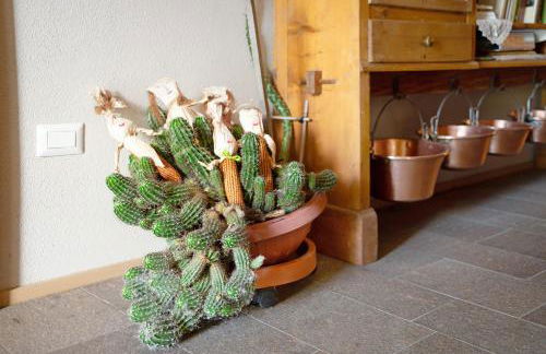 Agritur La Gemma - Foto 7