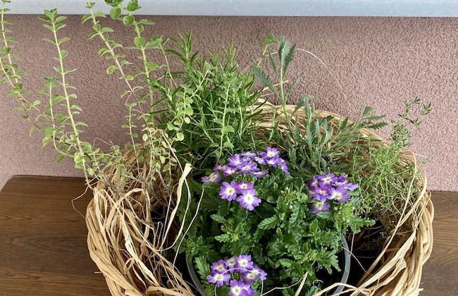 Chios Cozy studio Island Getaway - Foto 11